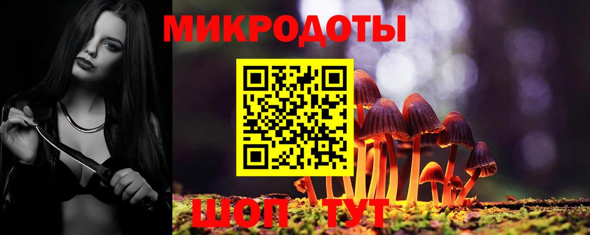 Галлюциногенные грибы Psilocybe  Вход с VPN  Аргун 