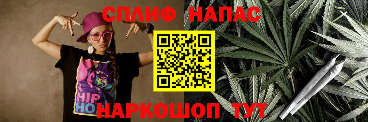 Конопля гибрид Аргун